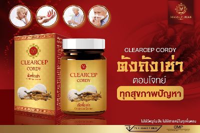 (3 กระปุก) สมุนไพรถั่งเช่า100% มีอย. GMP จากฟาร์มแท้ๆ ขายราคาถูก